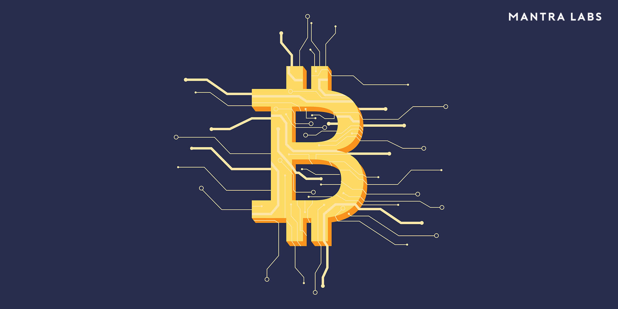 Business Applications of Blockchain - Mantra Labs